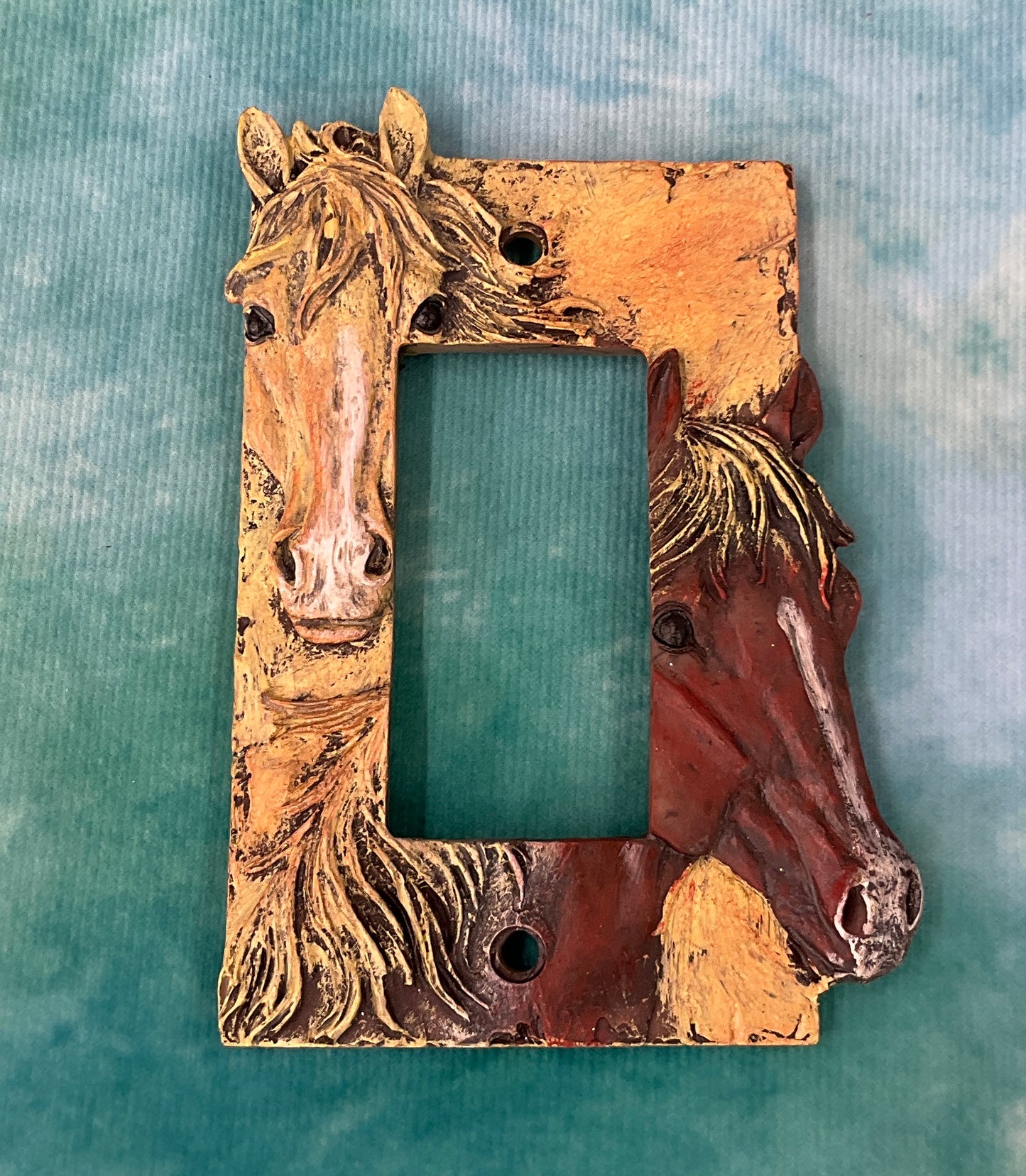 Light Switch Covers
